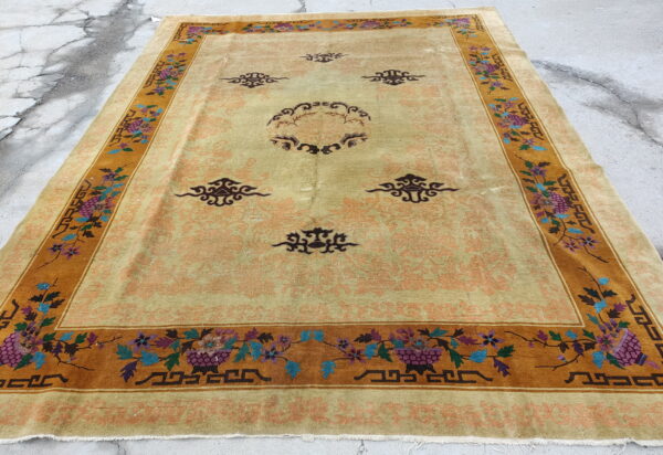 Tan rug featuring subtle peach patterns and a contrasting wide brown border with purple and teal floral designs.