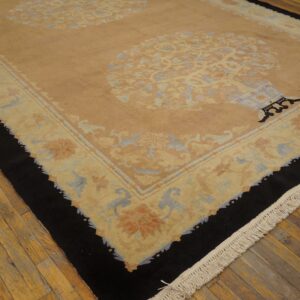 Tan area rug with ornate pale blue and coral designs, a black edge, and visible white fringe on wood floors.