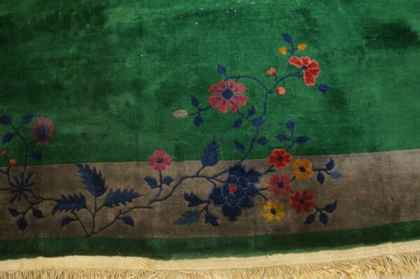 High-pile green rug corner showing red and blue floral vines and a contrasting taupe border with fringe.