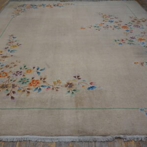 Beige rug with colorful floral corner designs, framed by a thin green line on wood flooring.