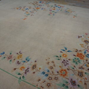 Tan low-pile rug featuring multi-colored scattered floral patterns and a thin green border on a wood floor.
