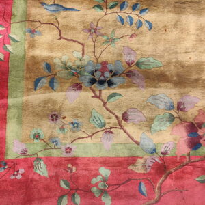 Tan field rug corner with red border and green stripe, featuring complex multicolored floral designs and a blue bird.