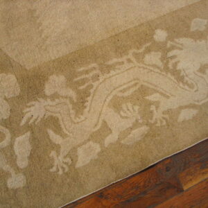 Close view of a tan rug with a detailed beige dragon border resting on dark wood flooring.