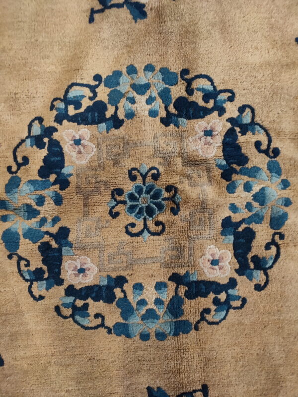 Worn tan rug texture with a circular blue and pink floral medallion pattern visible.