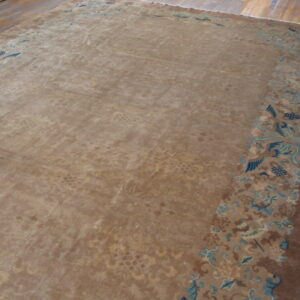 Light brown rug with low pile, bordered by blue and teal botanical and bird designs on hardwood floors.