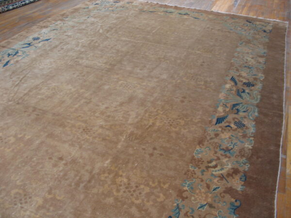 Light brown rug with low pile, bordered by blue and teal botanical and bird designs on hardwood floors.