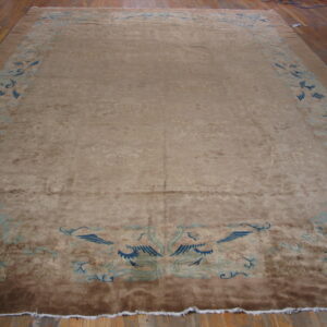 Large tan low-pile rug with a wide blue border featuring stylized floral and bird motifs on a wood floor.