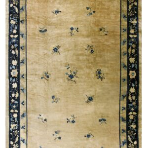 Plush tan rug with scattered blue flowers and elaborate navy borders displaying floral and fret patterns.