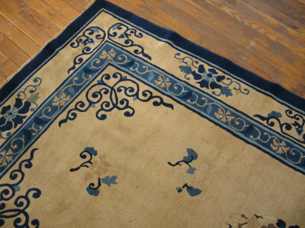Close-up of a tan rug with dark blue floral borders against distressed brown hardwood flooring.