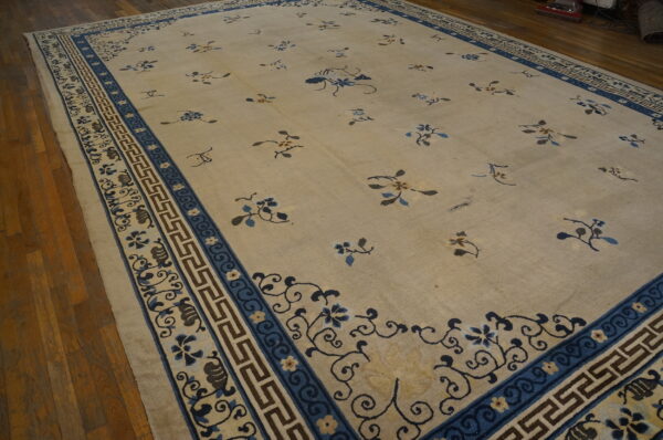 Large cream rug featuring blue and brown patterned borders and scattered floral designs on hardwood.