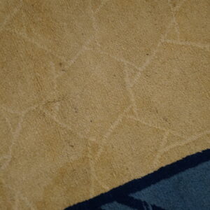 Shaggy tan rug close-up features subtle light patterns bordering sections of dark navy and teal.