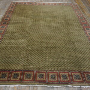 Olive green patterned rug featuring a red medallion border, displayed on distressed wood flooring.