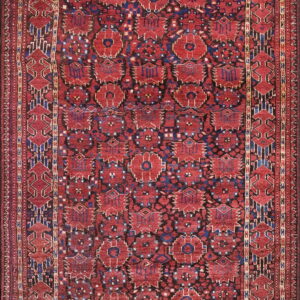 Highly detailed rug with a dense field of red and blue geometric medallions and wide borders.