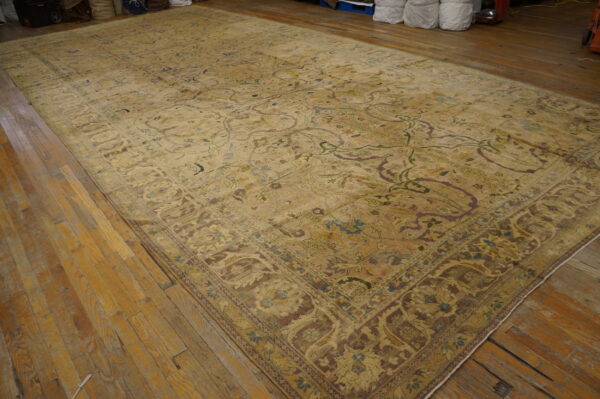 An oversized beige rug with muted green, blue, and brown floral patterns on wood floors.