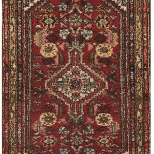 A runner rug with a traditional medallion design in rich reds, dark browns, and beige.