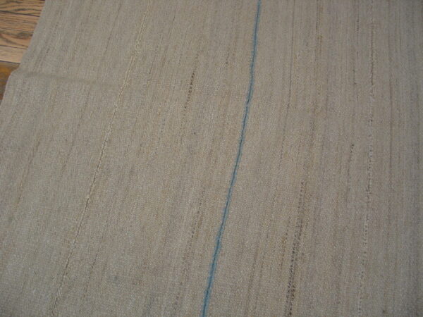 Beige low-pile rug with subtle vertical stripes and a single blue line resting on wood flooring.