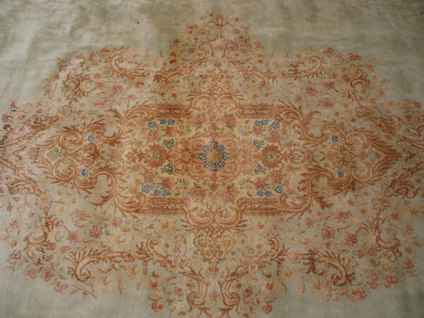 Plush sage green rug featuring an ornate floral medallion pattern in terracotta, pink, and light blue.