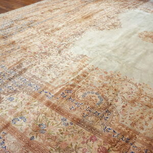 A traditional floral rug in light tan, brown, and blue sits on dark wood plank flooring.