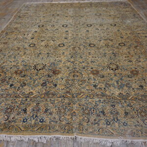 Ornate traditional area rug in tan, blue, and brown floral patterns, laid on distressed wood floor.