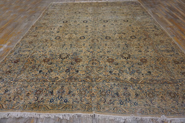 Ornate traditional area rug in tan, blue, and brown floral patterns, laid on distressed wood floor.