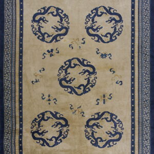 A beige high-pile rug with five blue dragon medallions and wide geometric borders.