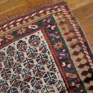 Corner of a traditional high-pile rug with red, green, and cream patterns on distressed hardwood flooring.