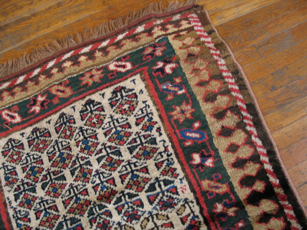 Corner of a traditional high-pile rug with red, green, and cream patterns on distressed hardwood flooring.