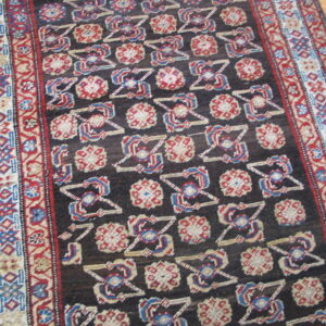 Dark brown rug with repeating red, cream, and blue geometric motifs, framed by multiple patterned borders on wood.