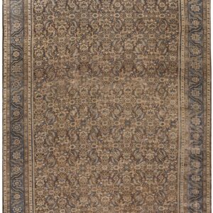 Muted brown and beige rug with a dense paisley and floral field and wide geometric blue borders.