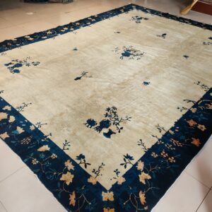 Beige rug featuring sparse blue and tan floral motifs, surrounded by a thick navy patterned border.