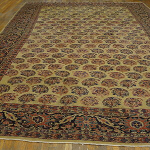 Large rug on wood floors featuring a light tan field with repeating fan motifs and an intricate dark border.
