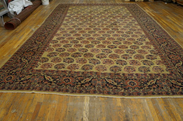 Large gold rug with repeating stylized tree patterns and a thick dark floral border displayed on wood flooring.