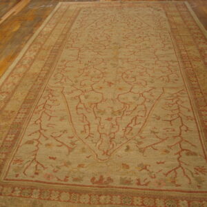 Large tan rug with rust-colored vine pattern and multi-layered borders displayed on wood planks.