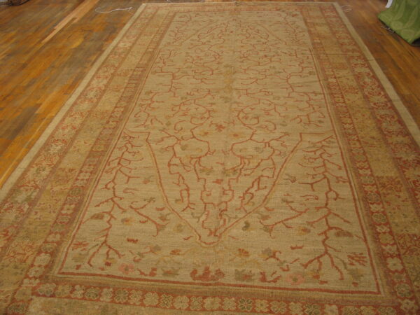 Large tan rug with rust-colored vine pattern and multi-layered borders displayed on wood planks.