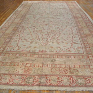Neutral low-pile area rug with red trailing vine motifs and ornate borders on wooden plank flooring.