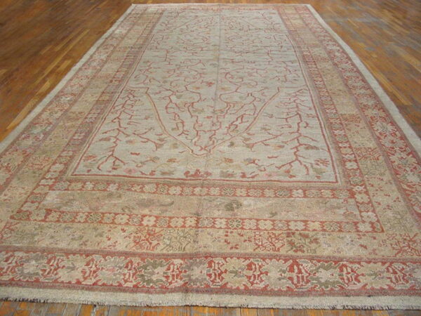 Neutral low-pile area rug with red trailing vine motifs and ornate borders on wooden plank flooring.