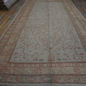 Light gray rug with faded terracotta vine patterns and borders, lying on distressed wood floors.