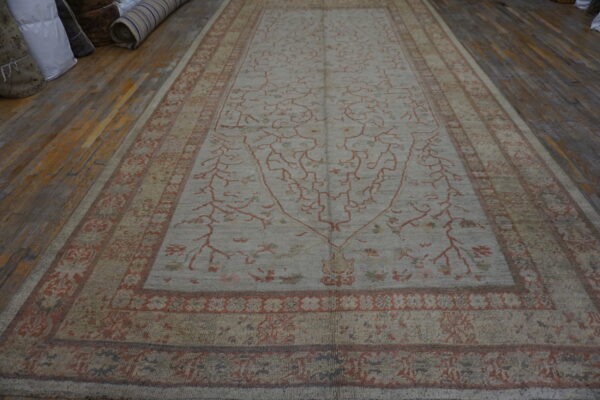 Light gray rug with faded terracotta vine patterns and borders, lying on distressed wood floors.