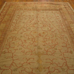 Oversized beige rug featuring sprawling red vine motifs and ornate borders rests on hardwood flooring.
