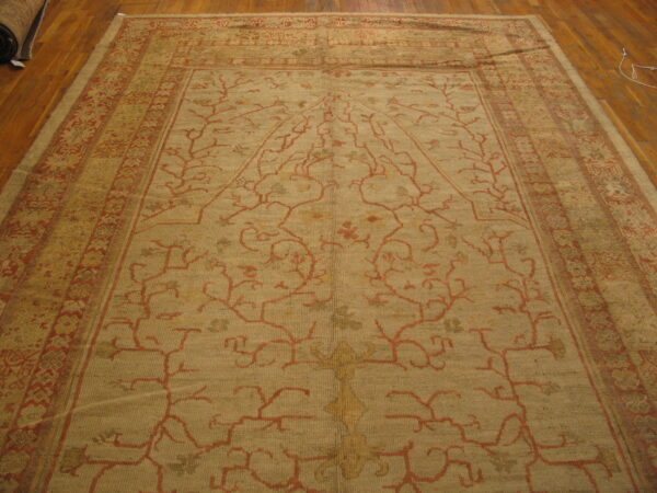 Oversized beige rug featuring sprawling red vine motifs and ornate borders rests on hardwood flooring.