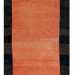 Vertical hallway runner rug with a wide, textured coral center framed by deep indigo side borders.