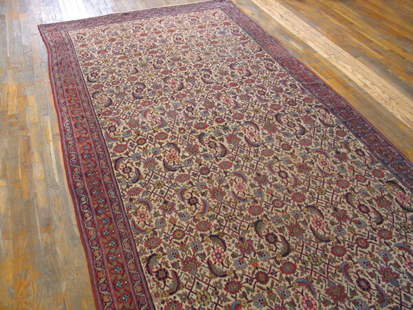 Long beige rug featuring a detailed paisley and floral pattern with red borders on wood flooring.