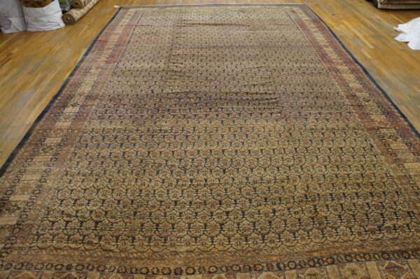 Extended tan and navy patterned rug with detailed borders lies on light wooden flooring.