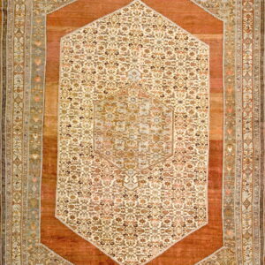 Intricate floral pattern on coral background