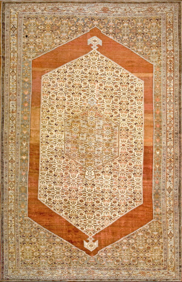 Intricate floral pattern on coral background