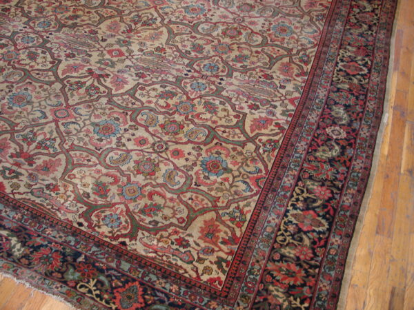Muted beige rug with complex vine and floral patterns, dark borders, laid upon wooden plank flooring.