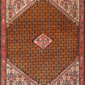 Close-up of a rug with a repeating orange floral pattern inside a dark diamond medallion and coral borders.