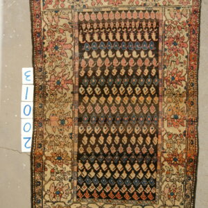 Low-pile rug with a dark geometric center framed by a wide beige border featuring pink and blue florals.