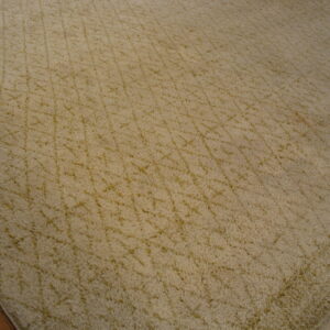 Beige shag rug with subtle criss-cross gold patterns lying on dark wood flooring.