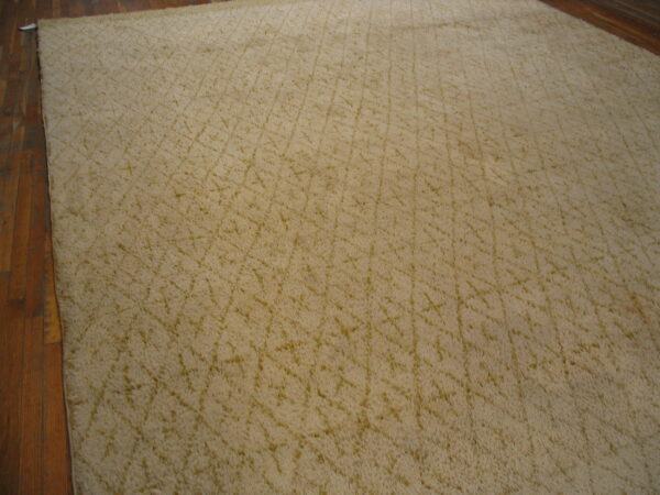 A shaggy tan rug featuring an indistinct gold criss-cross pattern rests on dark brown wood floorboards.
